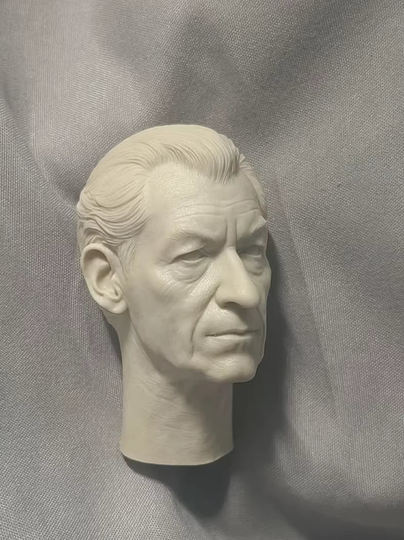 Ian McKellen Gandalf 1/6 scale unpainted head sculpt