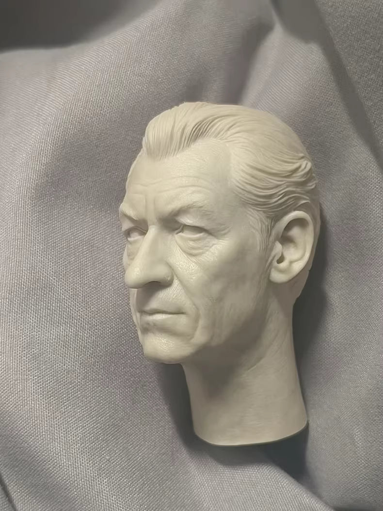 Ian McKellen Gandalf 1/6 scale unpainted head sculpt