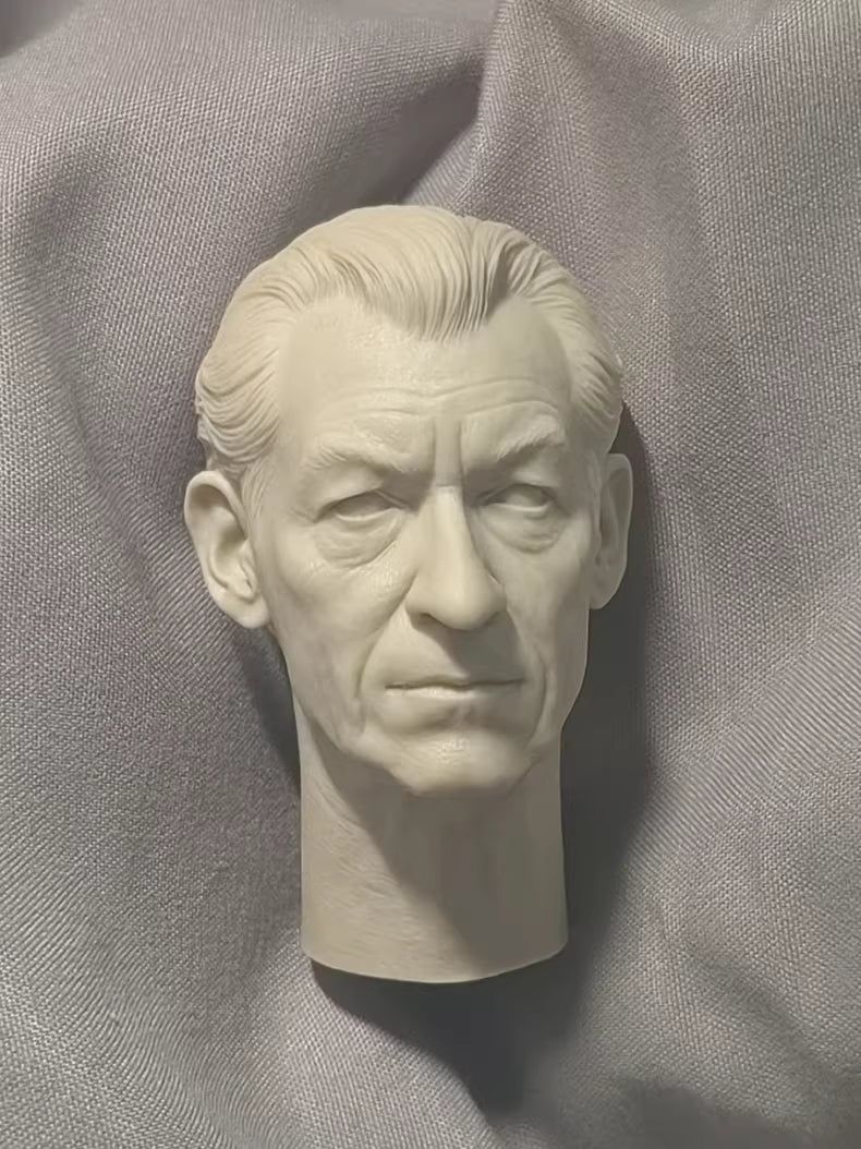 Ian McKellen Gandalf 1/6 scale unpainted head sculpt