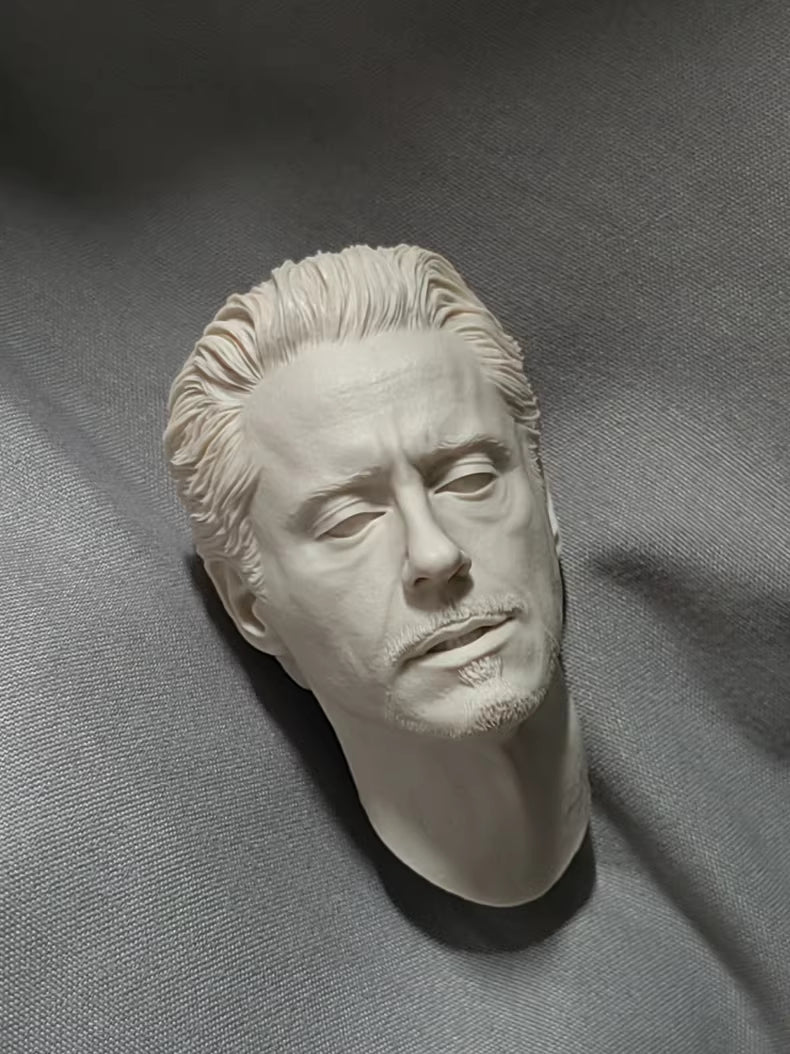 Robert Downey Jr. Iron Man Tony Stark speech 1/6 scale unpainted head sculpt