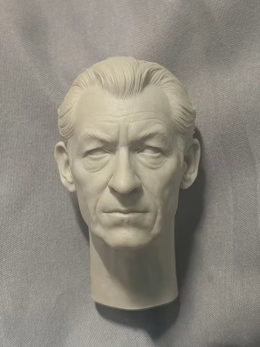 Ian McKellen Gandalf 1/6 scale unpainted head sculpt